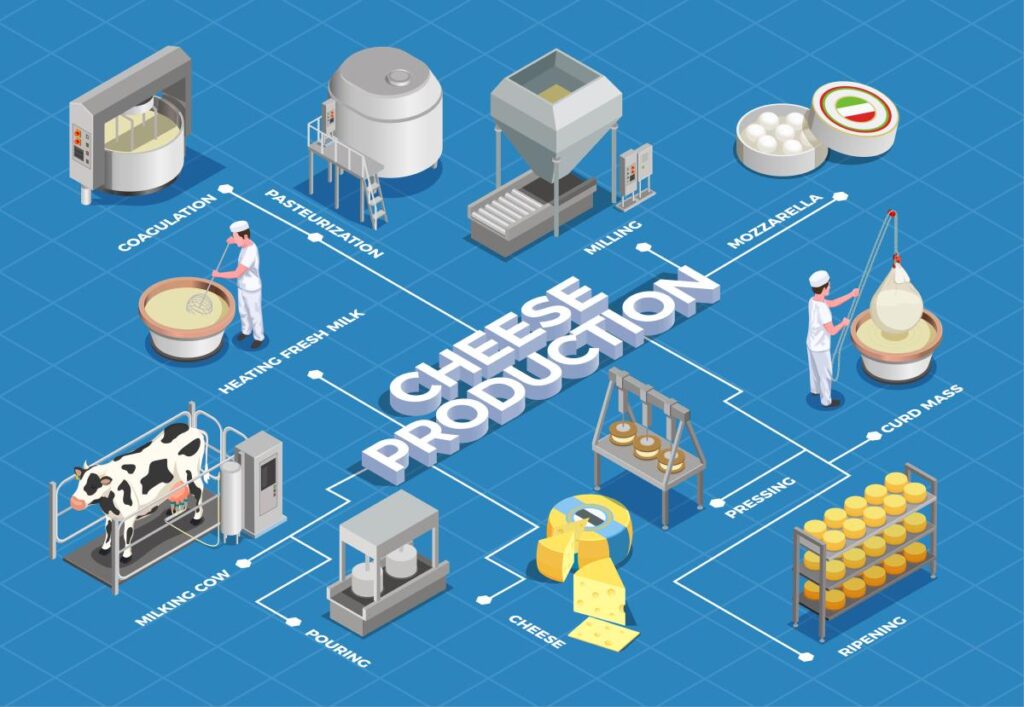 Cheese Production in the United States. Image by macrovector on Freepik.