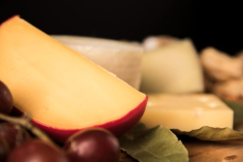 Gouda Cheese: The Dutch Classic. Imagem de Freepik.